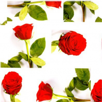 оберточная бумага подарочная розы с листьями